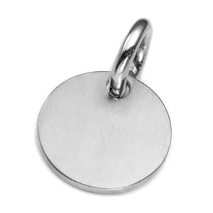 SM Brushed Stainless ID Tag for Purses, Pets, & More